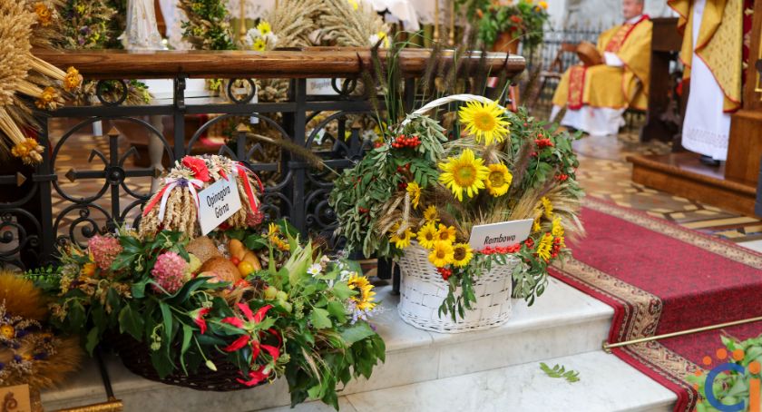 Święto plonów w Opinogórze [foto]