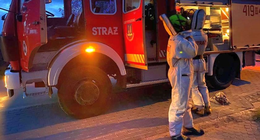 Były agresywne i zagrażały mieszkańcom. Strażacy interweniowali pod Ciechanowem [zdjęcia]