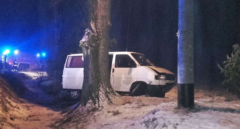 Bus wpadł do rowu. Podróżowało nim 7 osób (zdjęcia)