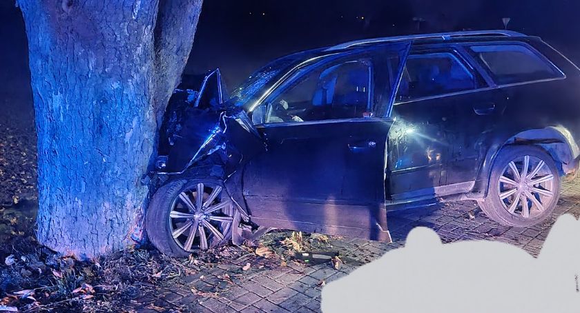 Audi uderzyło w drzewo pod Ciechanowem