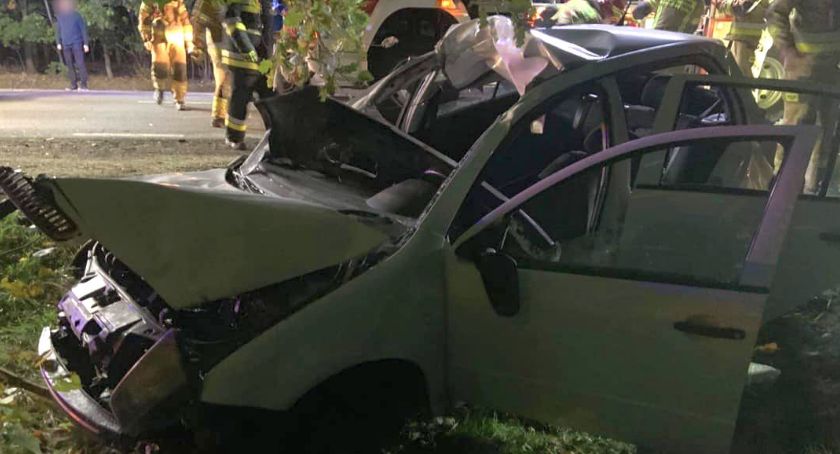 Skoda uderzyła w łosia. Groźny wypadek na drodze Ciechanów-Glinojeck [zdjęcia]