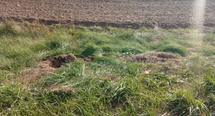 Ukradli znaki i lustra drogowe pod Ciechanowem. Sprawę zgłoszono policji