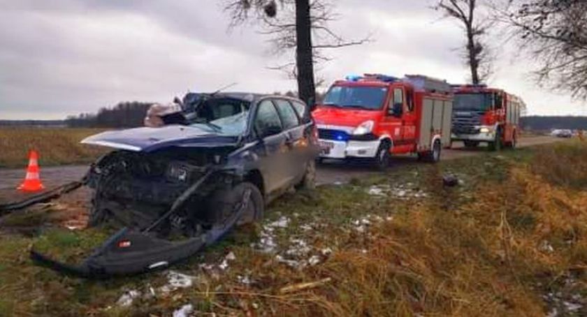 Na łuku wypadł z drogi i uderzył w drzewo [zdjęcia]