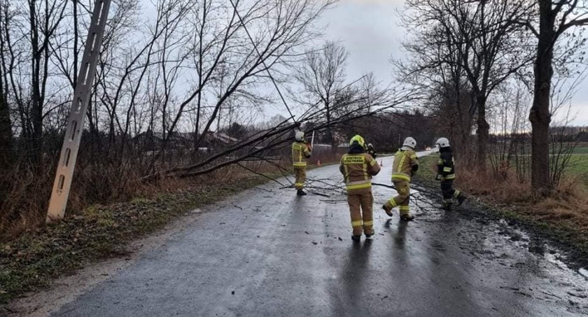 Uszkodzone dachy, połamane drzewa, awarie prądu. Liczne interwencje strażaków w powiecie ciechanowskim
