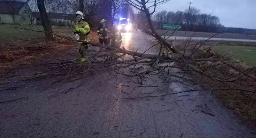 Znów powiało w powiecie ciechanowskim. Interweniowali strażacy [zdjęcia]