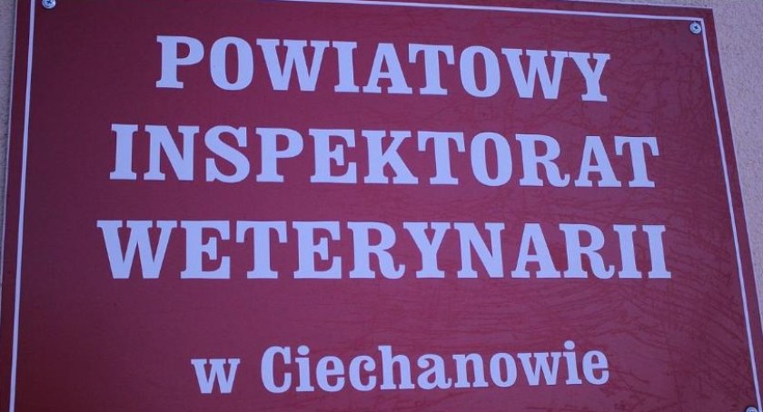 Jest praca w służbie cywilnej w Ciechanowie