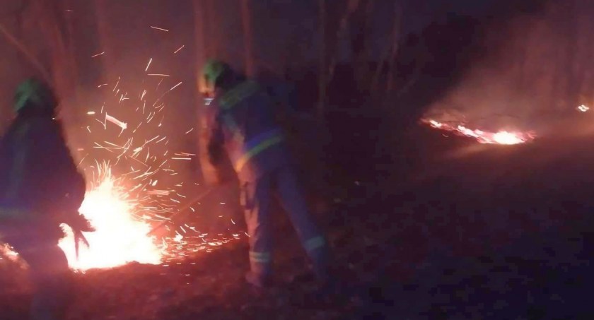 Pożar pod Ciechanowem [zdjęcia]