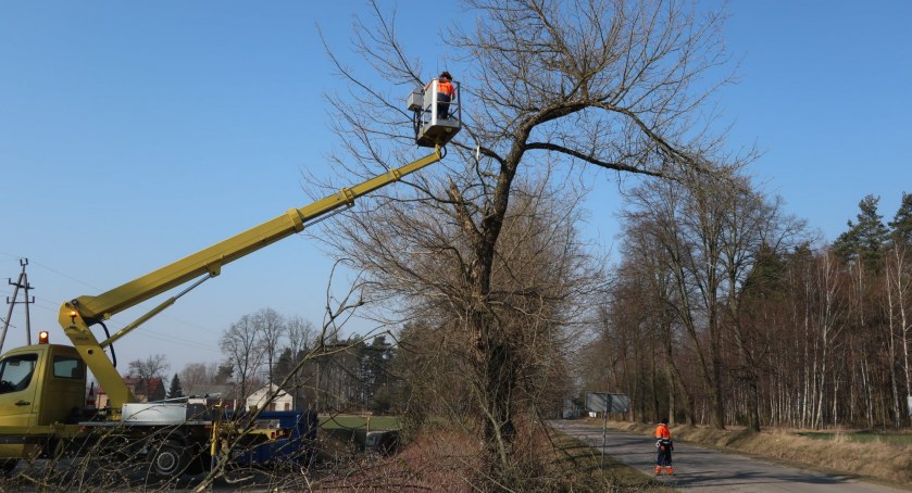 Wycięli przydrożne drzewa w Ciechanowie i gminie Sońsk