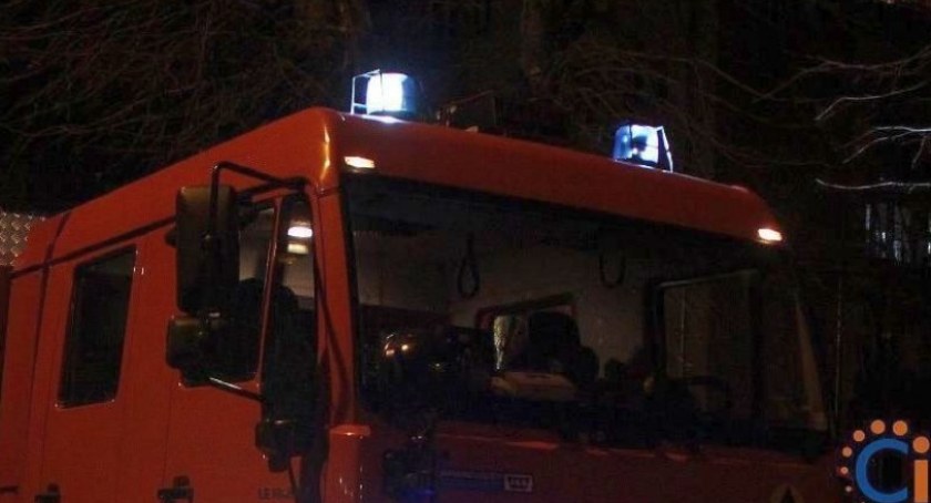 Zderzenie auta z sarną w gminie Glinojeck