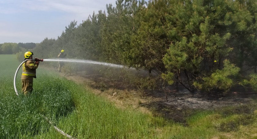 Pożary lasów w powiecie ciechanowskim [zdjęcia]