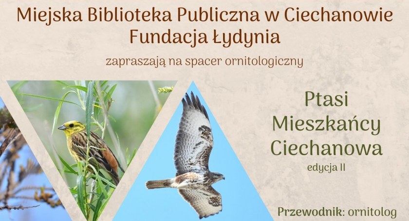 Wybierz się na spacer z ornitologiem