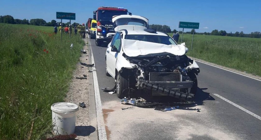 Fiat uderzył w krowę. Niebezpieczne zdarzenie w powiecie ciechanowskim [zdjęcia]