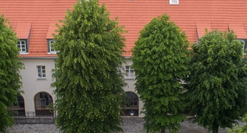 Wakacje w Miejskiej Bibliotece Publicznej w Ciechanowie