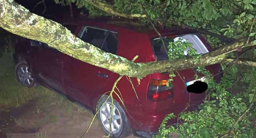 Drzewo runęło na samochód. Groźne zdarzenie pod Ciechanowem [zdjęcia]
