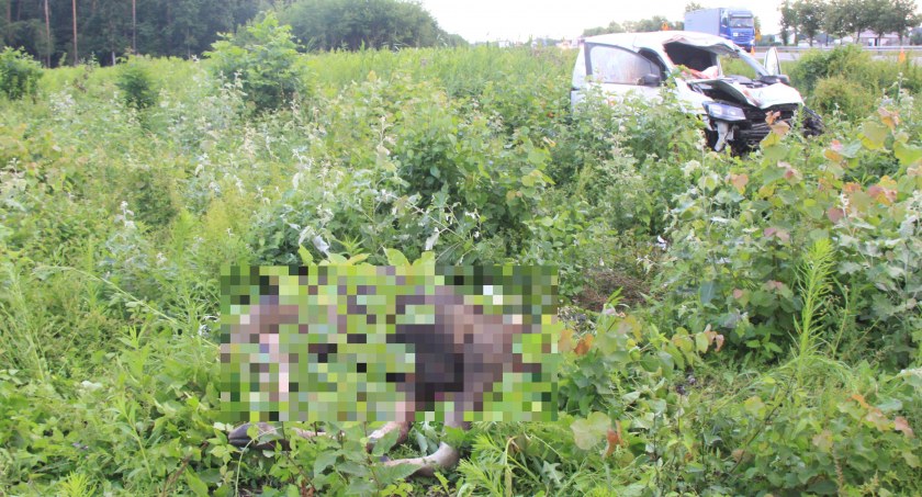 Tragiczny wypadek. Zginął pasażer Volkswagena [zdjęcia]