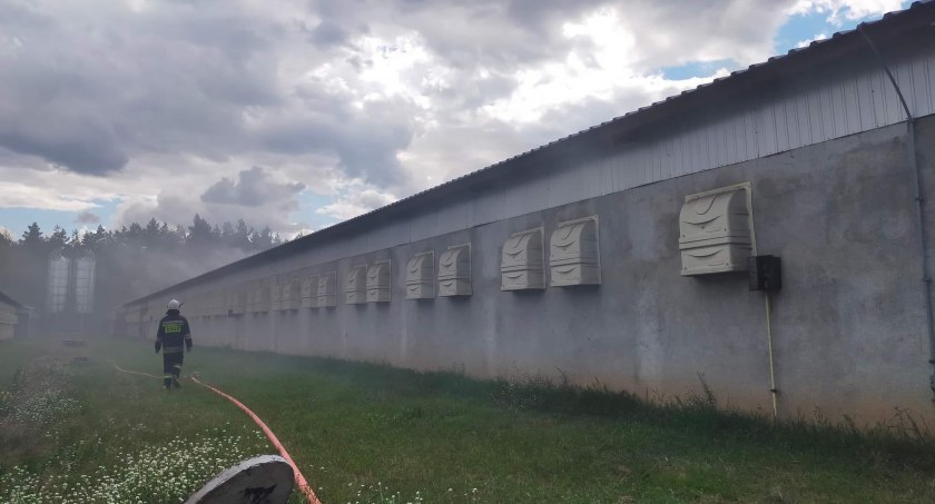 Duże straty po pożarze kurnika [zdjęcia]