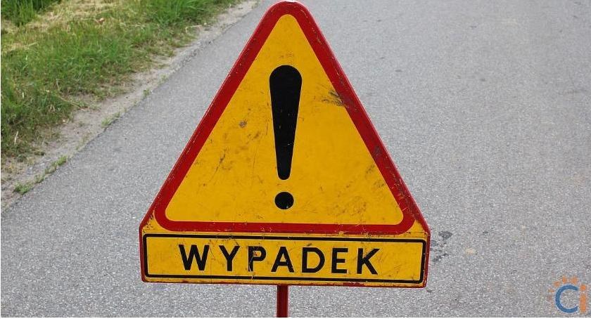 Uderzył autem w przelatującego bociana