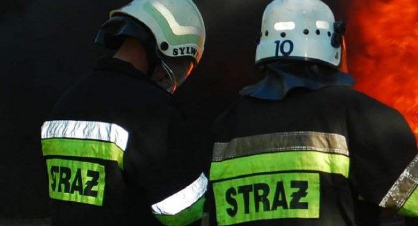 Pożar na terenie ogrodów działkowych w Ciechanowie