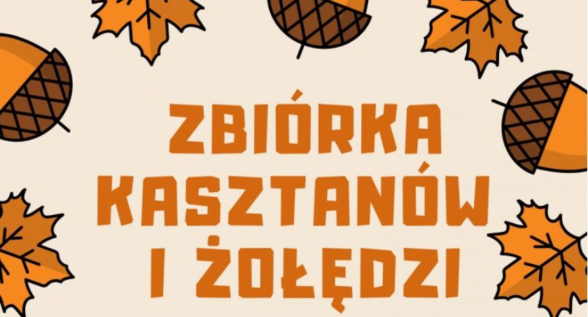 Pomóż zwierzętom przetrwać zimę. Ruszyła zbiórka kasztanów i żołędzi 