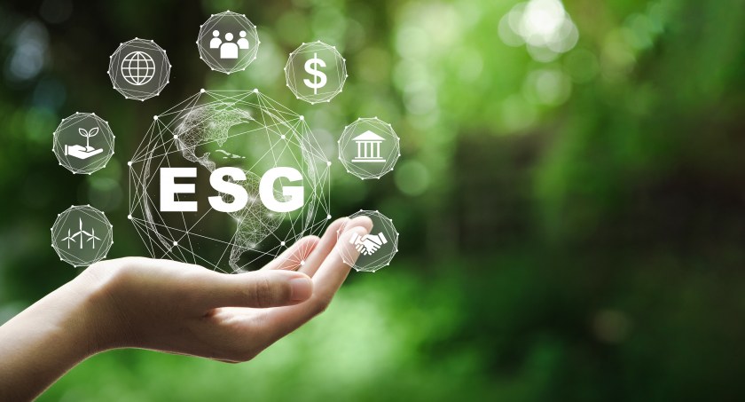 ESG w zarządzaniu firmą – czym jest społeczna odpowiedzialność biznesu?