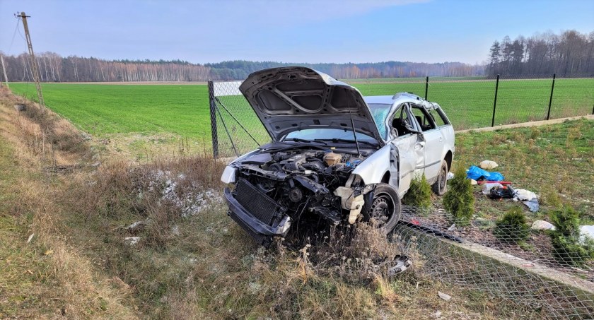 Wypadł z drogi i staranował ogrodzenie [zdjęcia]