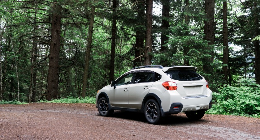 Dlaczego firmowy SUV to dobry pomysł? Poznaj zalety nowoczesnych modeli