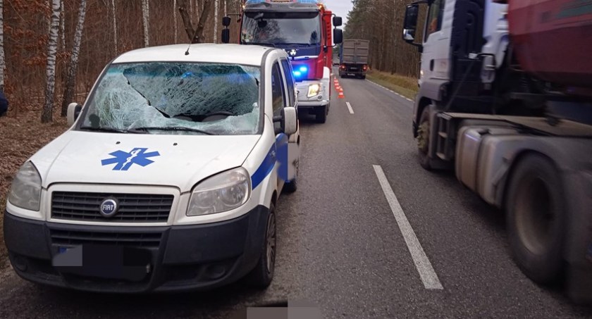 Wypadek z udziałem zwierzyny leśnej (aktualizacja)