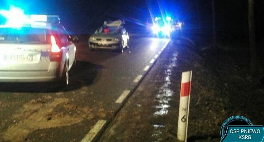 Groźny wypadek u sąsiadów: Renault uderzyło w łosia