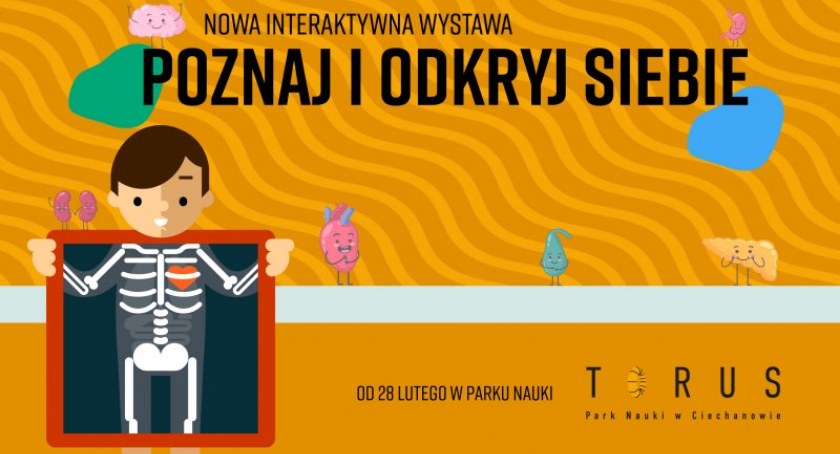 Nowa interaktywna wystawa w Torusie