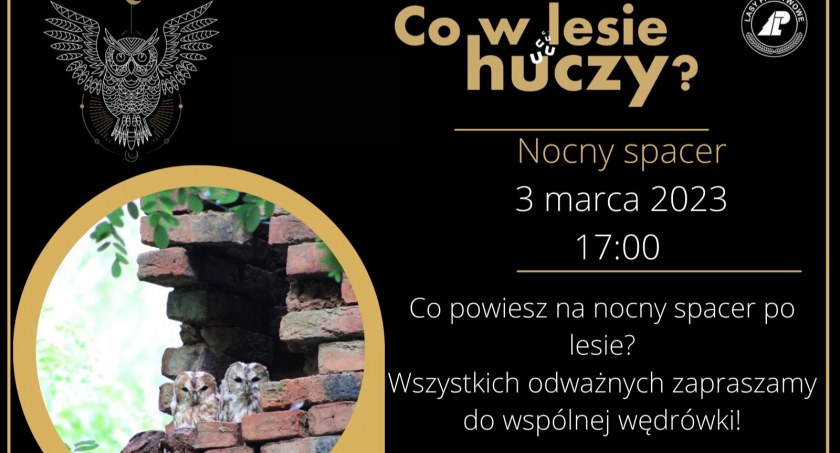 Zaproszenie na nocny spacer po lesie