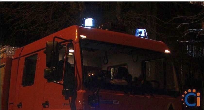 Kot przechytrzył strażaków. Nocna akcja w powiecie ciechanowskim