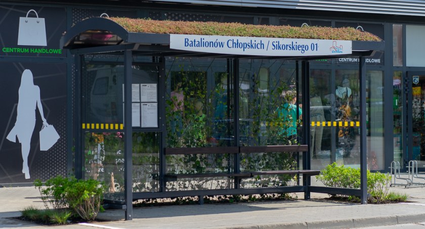 Drugi taki przystanek w Ciechanowie [zdjęcia]