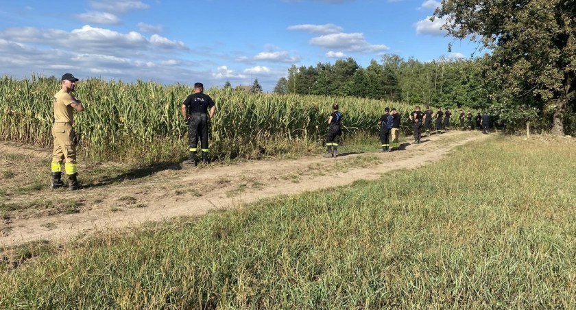 Psy tropiące, dron. Policja cały czas poszukuje zaginionej kobiety [zdjęcia]