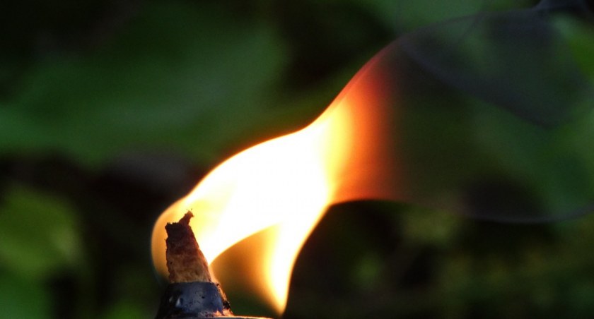 Ciechanów uczci pamięć poległych i pomordowanych