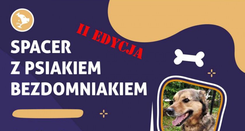 Wybierz się na spacer z psiakiem bezdomniakiem w Ciechanowie