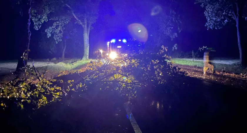 Kilkadziesiąt interwencji straży pożarnej w powiecie ciechanowskim po nocnej burzy [zdjęcia]