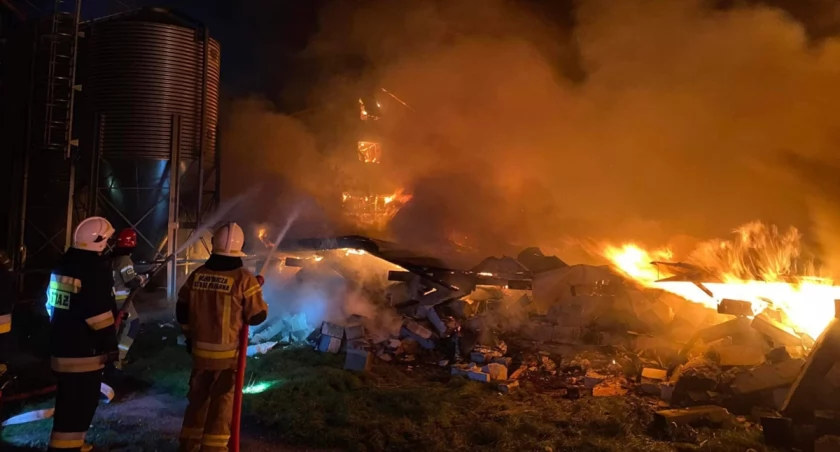 Gigantyczny pożar. Spłonęło 25 tysięcy kurcząt [zdjęcia]