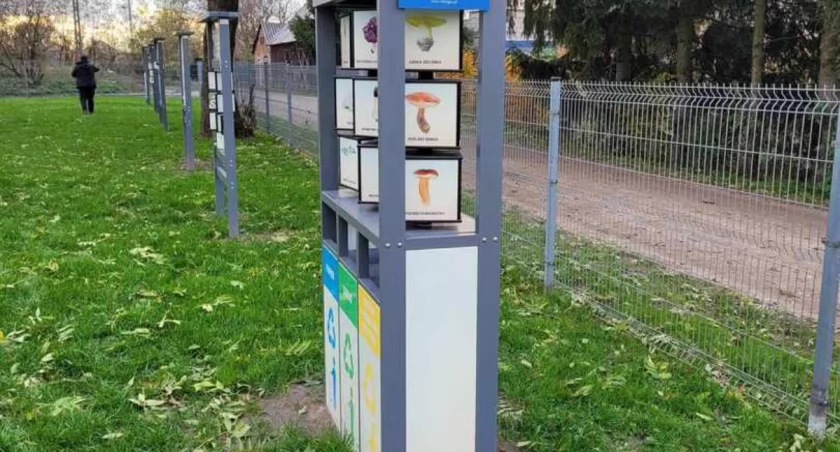 Koło Ciechanowa powstała nowa ścieżka edukacyjno-ekologiczna [zdjęcia]