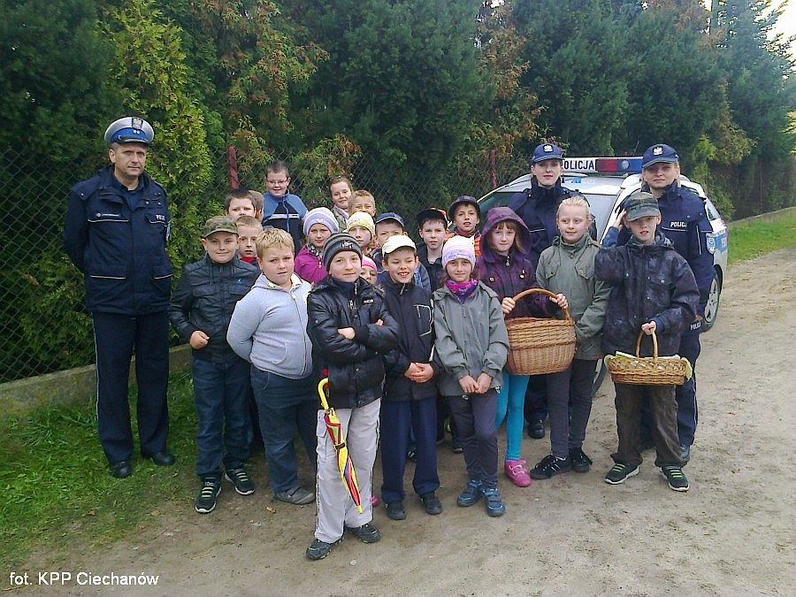 Spotkania policjantów z uczniami (zobacz zdjęcia)