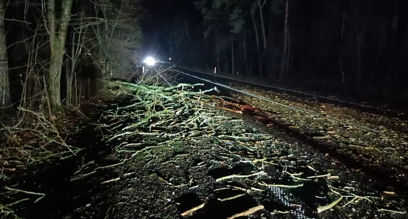 Przewrócone drzewa blokowały drogi w powiecie ciechanowskim [zdjęcia]