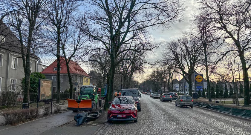 Ptasi Patrol interweniował w Ciechanowie