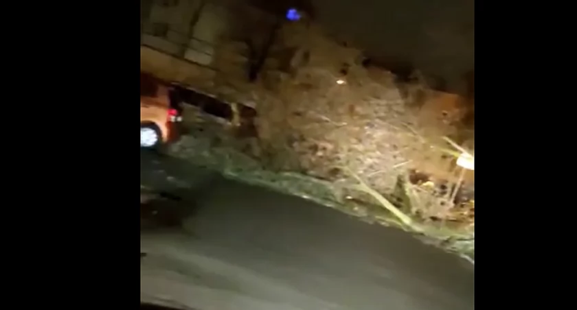 Przerwócone drzewa w Ciechanowie. Kilka interwencji strażaków jednego dnia [wideo]