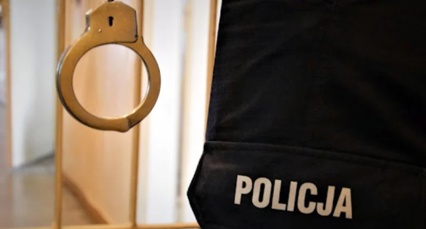 Stracił prawo jazdy i wolność. Wpadł pod Ciechanowem