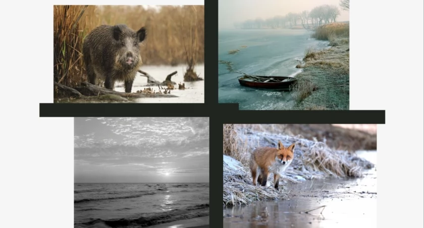 Fotografia pozwala jej docenić cud życia. Otwarcie wystawy w Ciechanowie