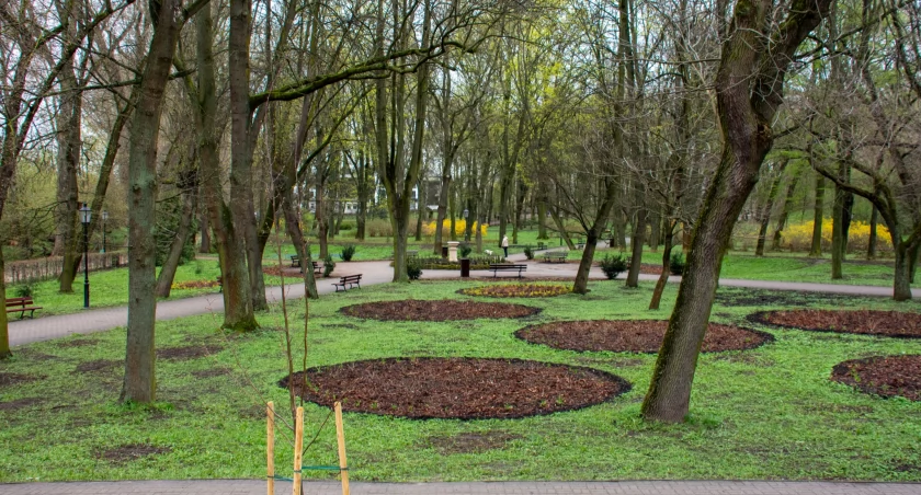 Park w centrum Ciechanowa w nowej odsłonie [zdjęcia]
