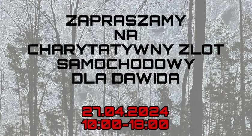 Charytatywny zlot samochodowy w pobliżu Ciechanowa