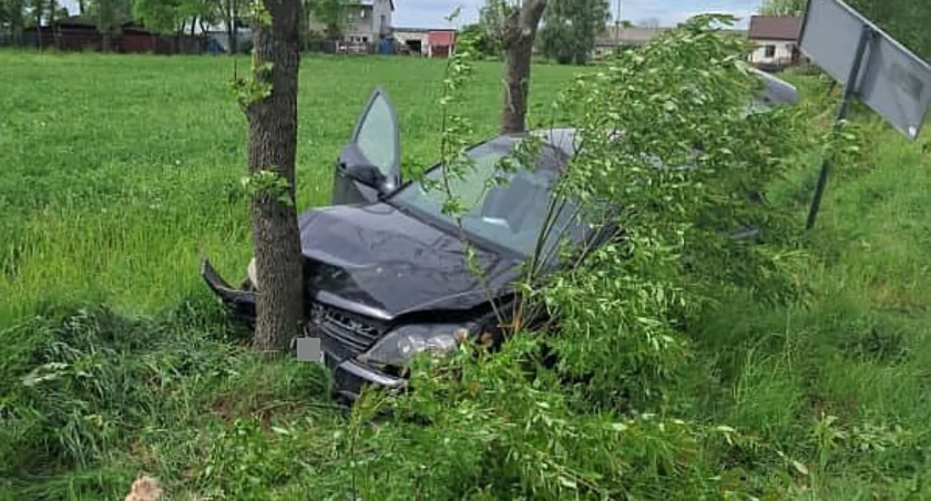 Uderzył w znak drogowy i drzewo. Zdarzenie drogowe w powiecie ciechanowskim [zdjęcia]