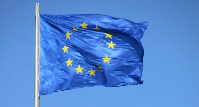 Posłanka, radna, były wójt. Kandydaci do europarlamentu z naszego terenu [listy]