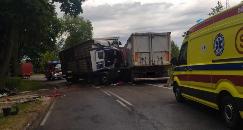 Tragedia na drodze. Mieszkaniec Ciechanowa zginął w wypadku [zdjęcia]