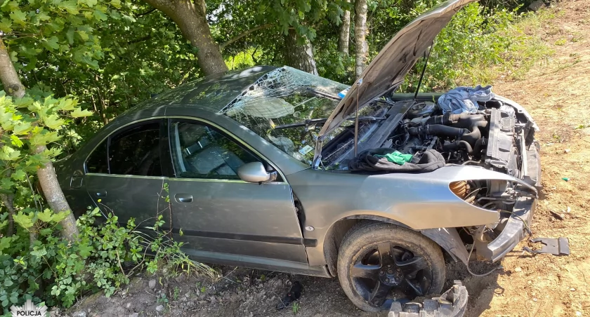 Auto uderzyło w drzewo. Konsekwencje poniesie zarówno kierowca, jak i pasażerka [zdjęcia]